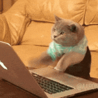 busy
